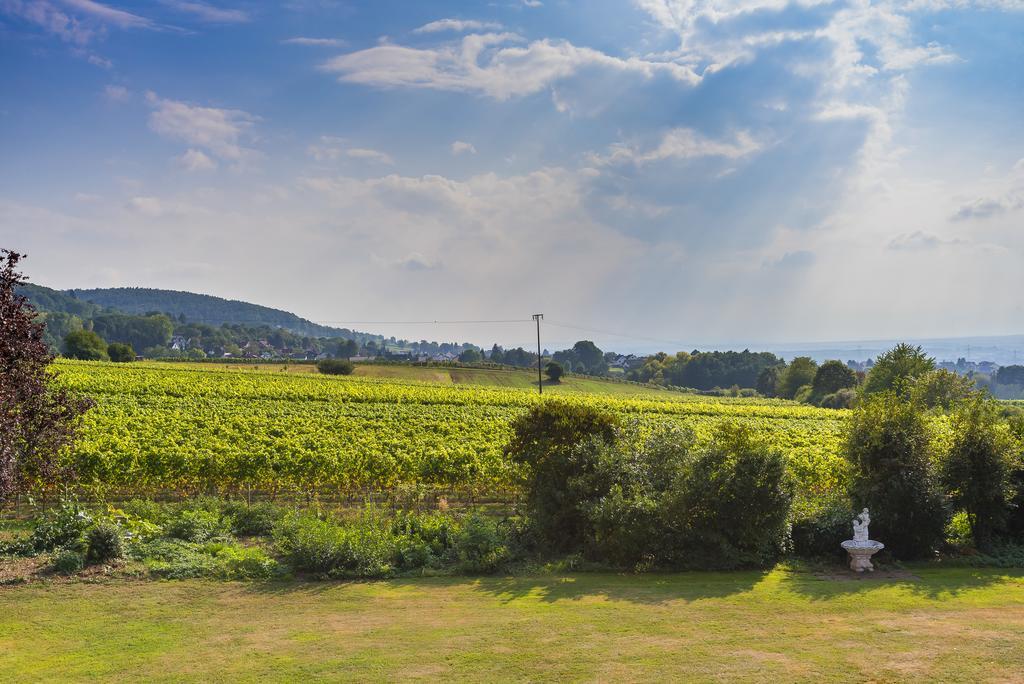 Krone Am Park - Gaestehaus Des Hotel Krone Alzenau in Unterfranken Ngoại thất bức ảnh